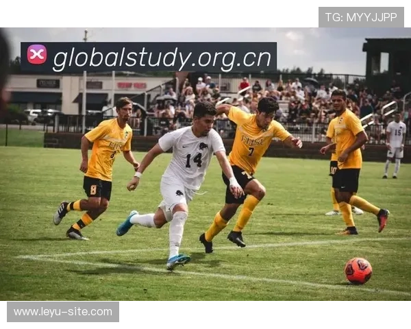 乐鱼 体育为用户提供全面一站式体育资讯服务平台 乐鱼 体育为用户提供全面一站式体育资讯服务平台