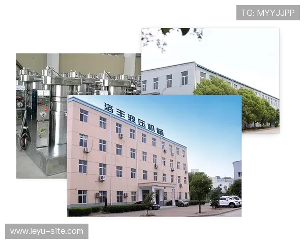 乐投letou瑞丰：平台安全保障措施与用户资金安全保障