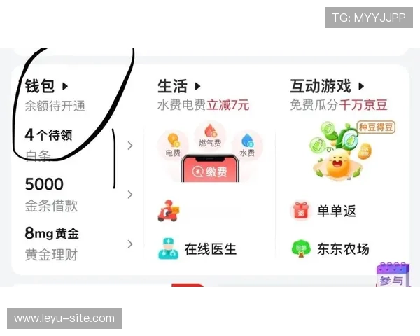 乐鱼娱乐平台支付方式多样，方便快捷的充值提现全流程指南