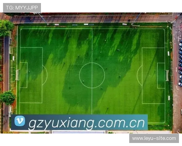 乐鱼网是干嘛的：探索乐鱼网在娱乐和体育领域的具体应用