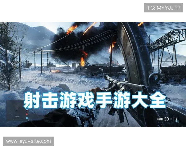 乐鱼网页版登录页面常见问题及解决方案，确保玩家顺利登录畅玩游戏